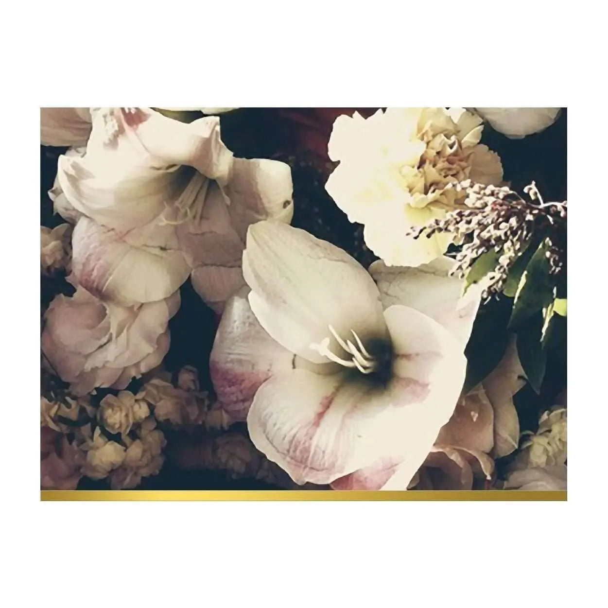 Ashley Woodson Bailey Greeting Assortment Notecard Set