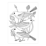 Avian Friends Coloring Postcard Book