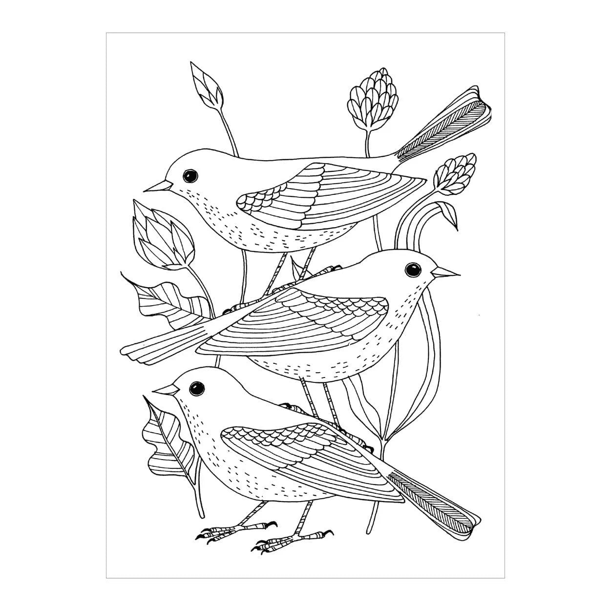 Avian Friends Coloring Postcard Book Avian Friends Coloring Postcard Book 