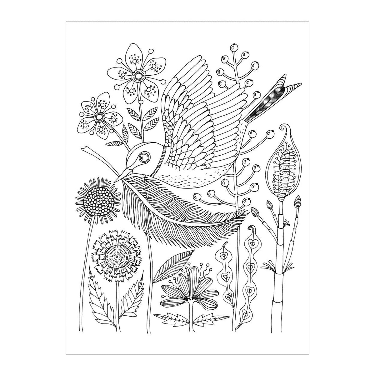 Avian Friends Coloring Postcard Book