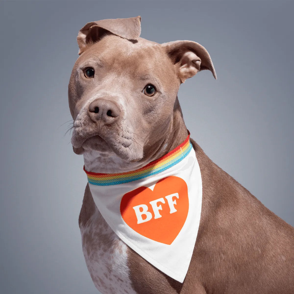 BFF Dog Bandana