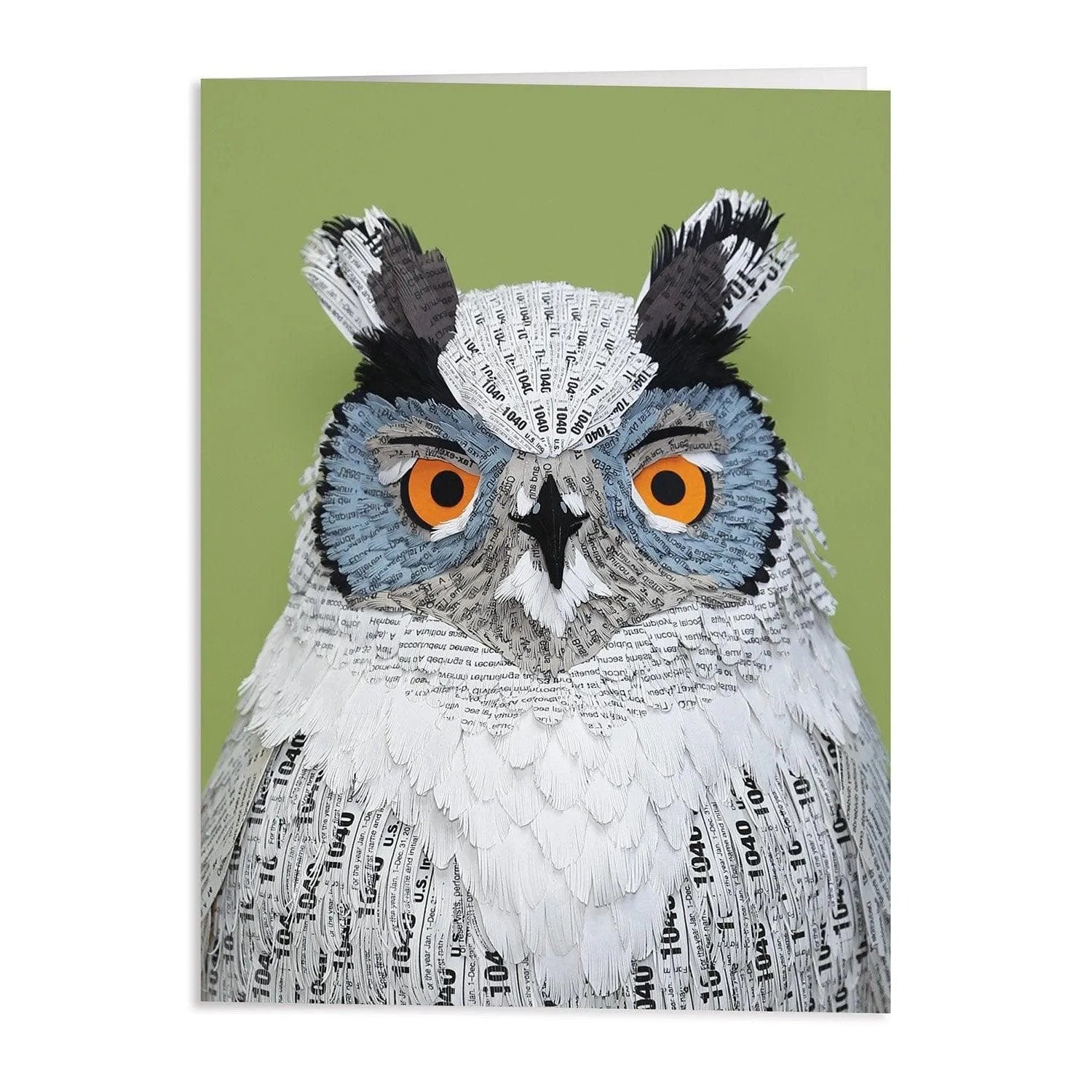 Birds of the World Greeting Assortment Notecard Set