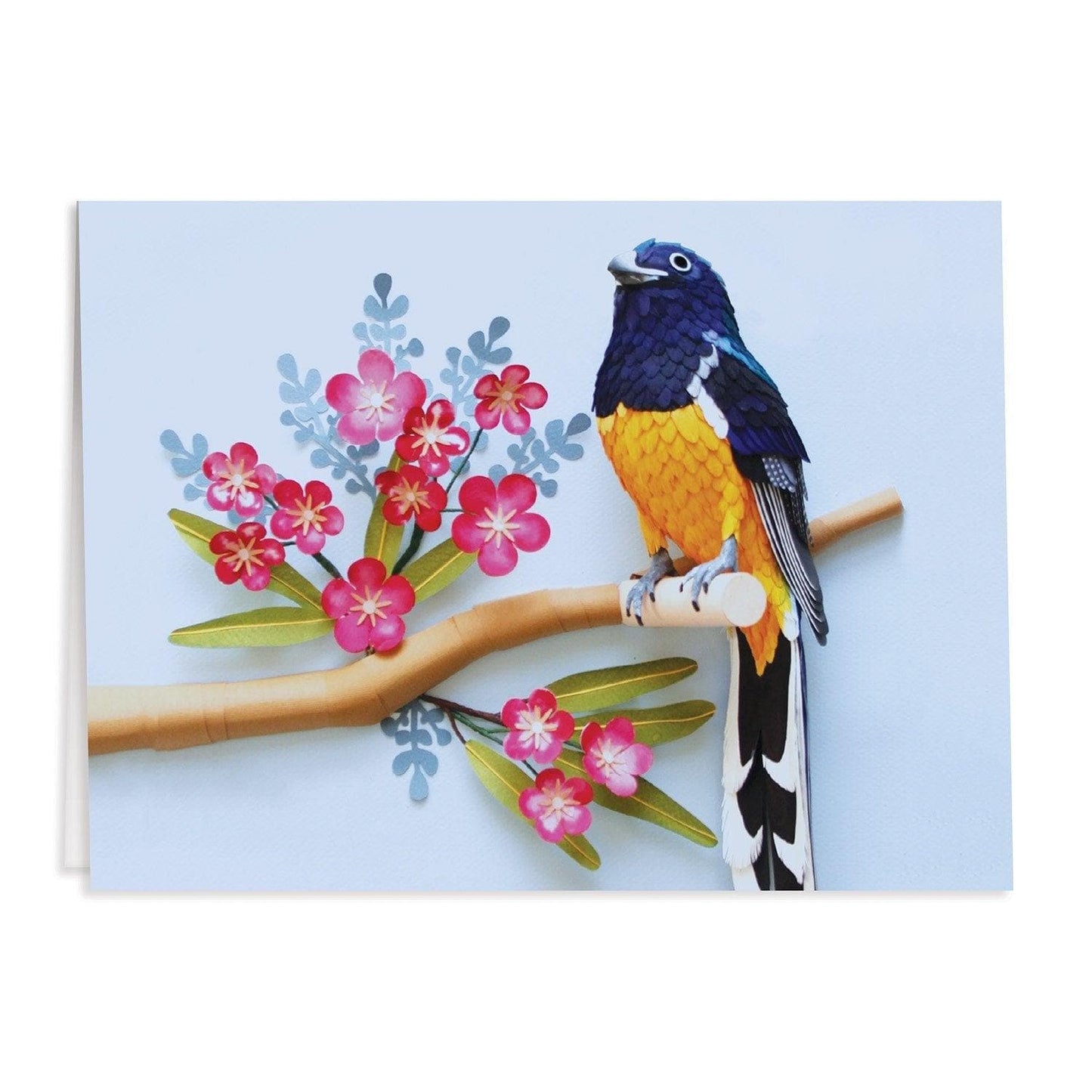 Birds of the World Greeting Assortment Notecard Set Birds of the World Greeting Assortment Notecard Set 