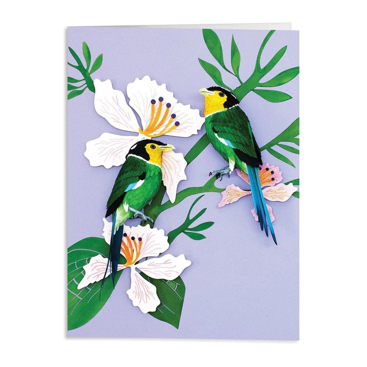 Birds of the World Greeting Assortment Notecard Set 