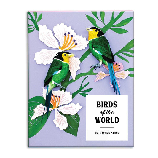 Birds of the World Greeting Assortment Notecard Set 