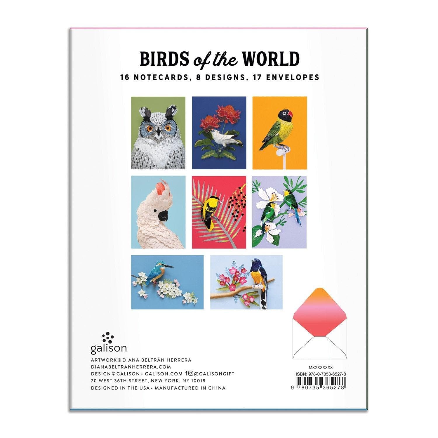 Birthday Write-on Cards Birds of the World Greeting Assortment Notecard Set Birds of the World Greeting Assortment Notecard Set 
