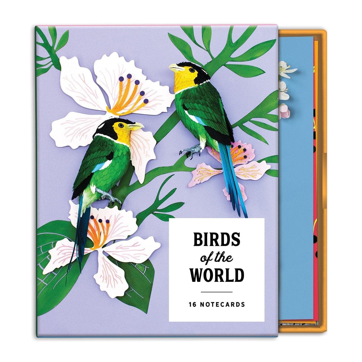 Birthday Write-on Cards Birds of the World Greeting Assortment Notecard Set 