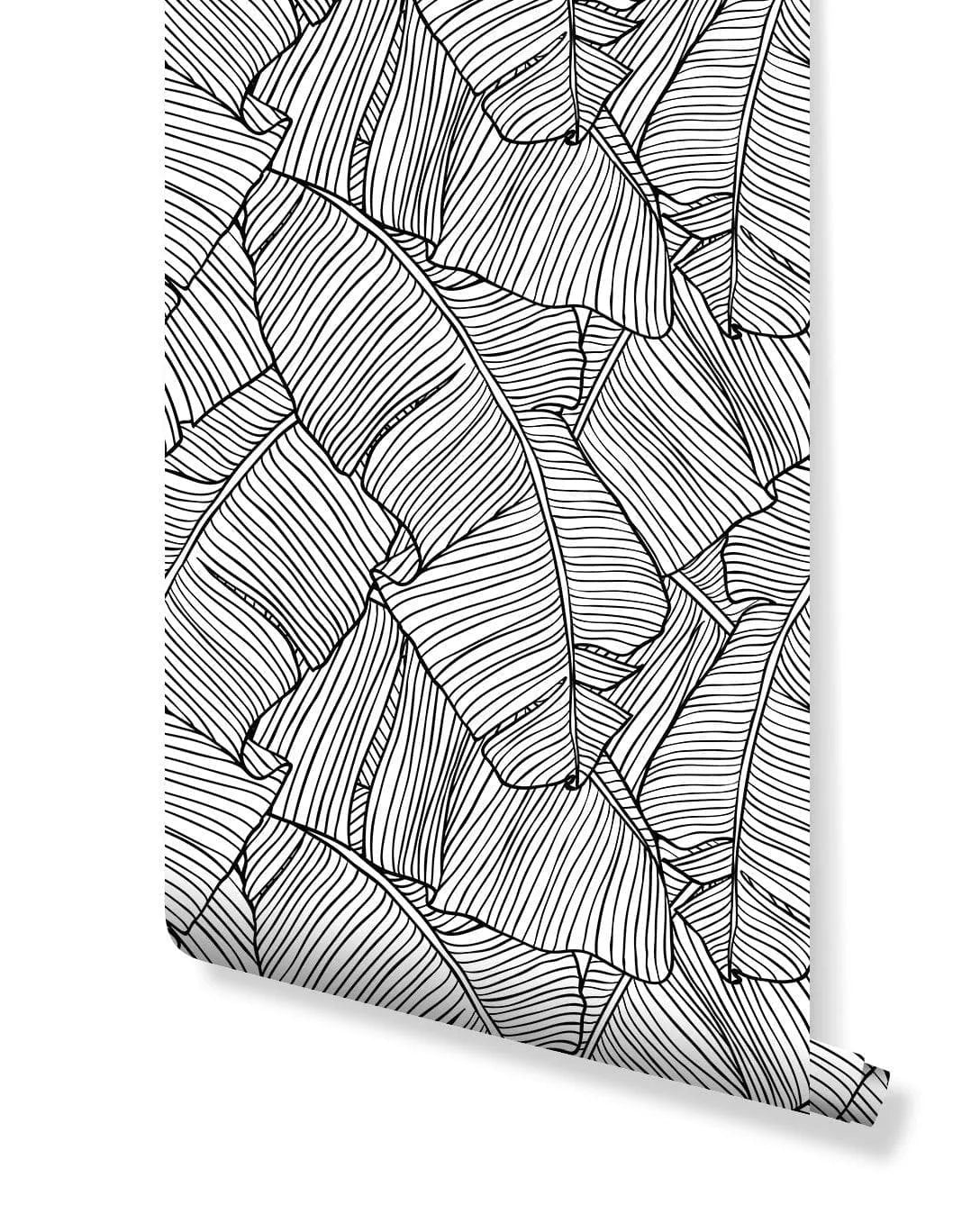 Black and White Tropical Banana Leaves Wallpaper