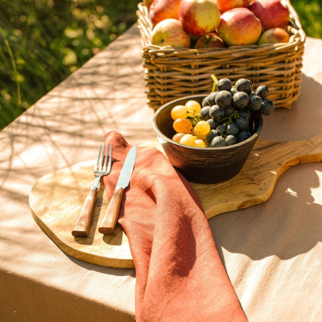 Burnt Orange Placemats