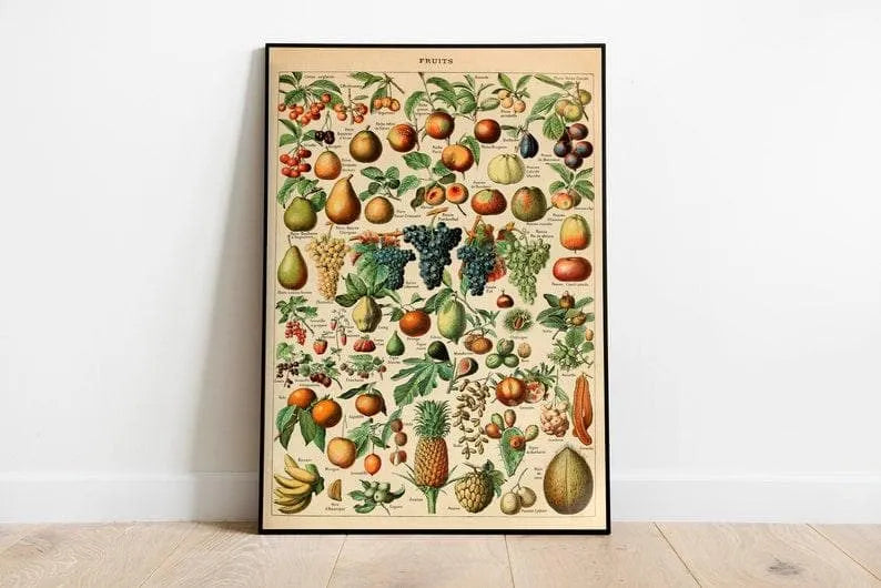 Cactus Wall Print| Botanical Wall Art Cactus Wall Print| Botanical Wall Art Fruits Chart| Fruits Diagram 