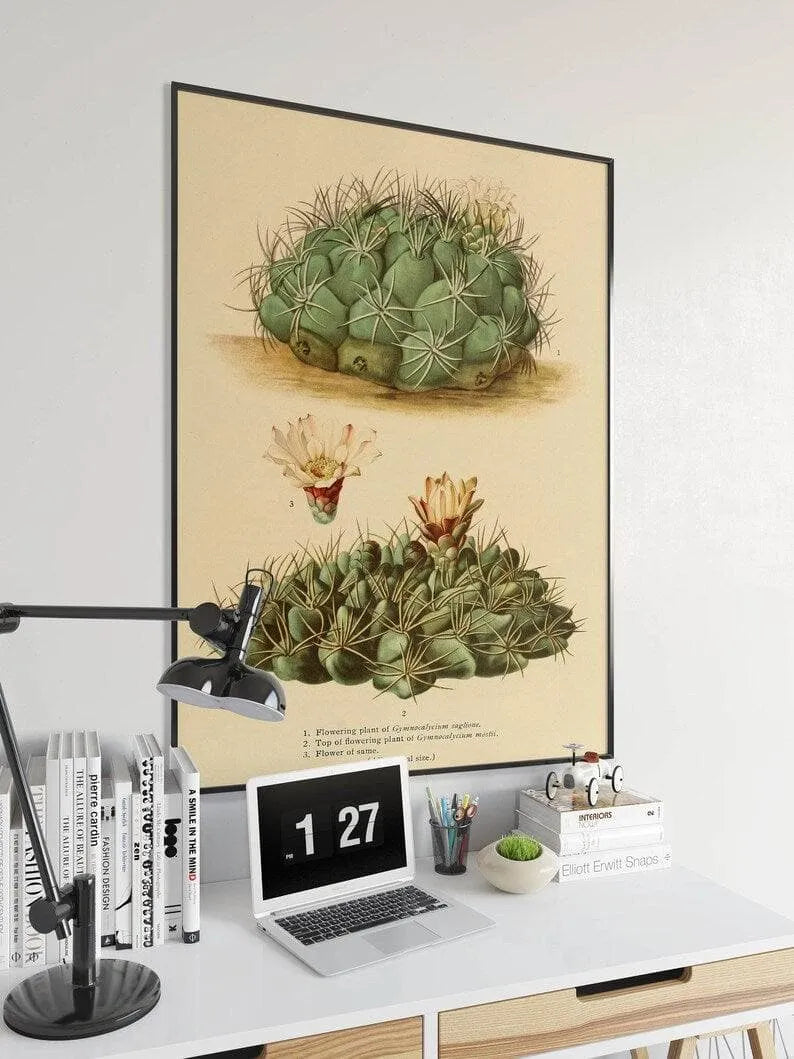 Cactus Wall Print| Botanical Wall Art