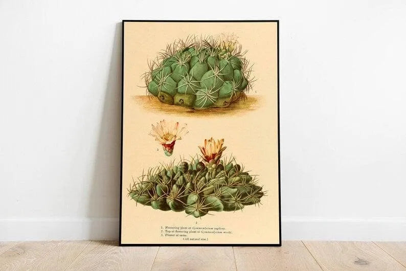 Cactus Wall Print| Botanical Wall Art