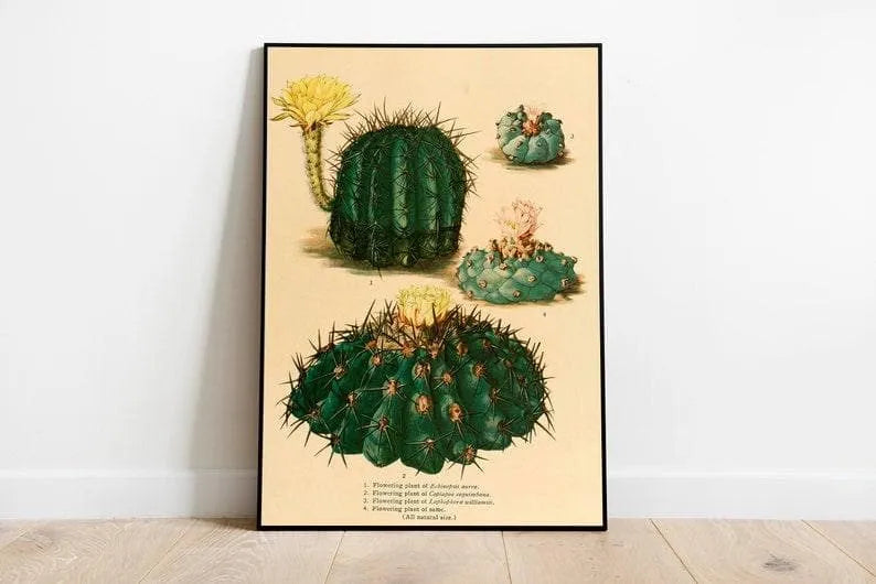 Cactus Wall Print| Botanical Wall Art