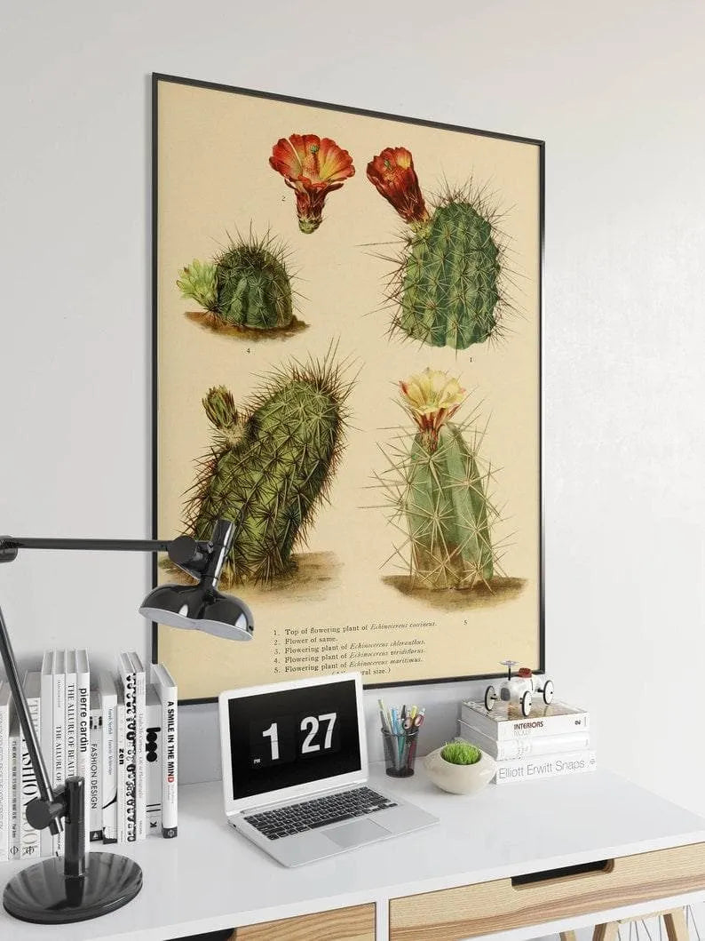 Cactus Wall Print| Botanical Wall Art