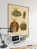 Cactus Wall Print| Botanical Wall Art