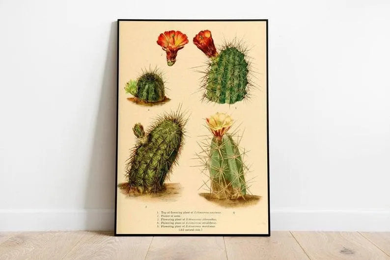 Cactus Wall Print| Botanical Wall Art