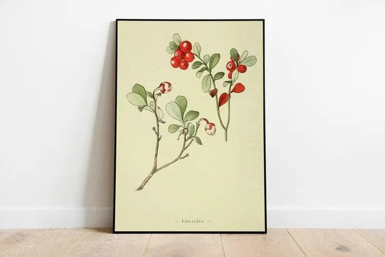 Cowberry Flower Wall Print| Botanical Wall Art