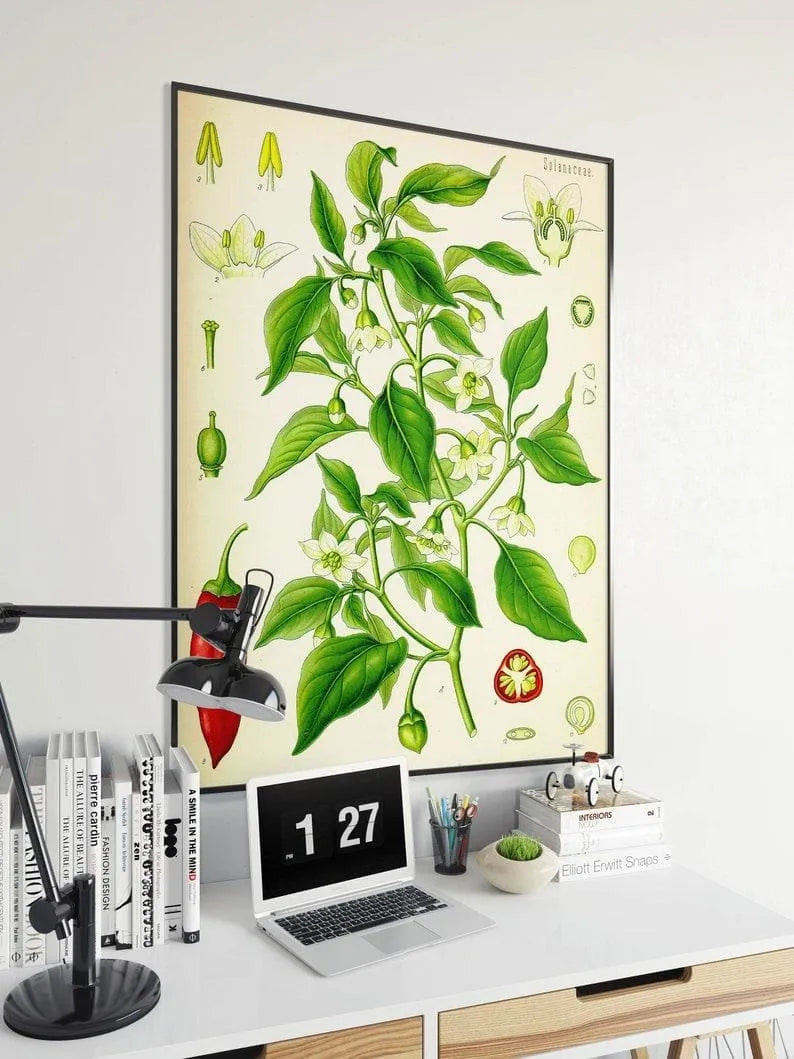 Chili Pepper Wall Print| Botanical Wall Art