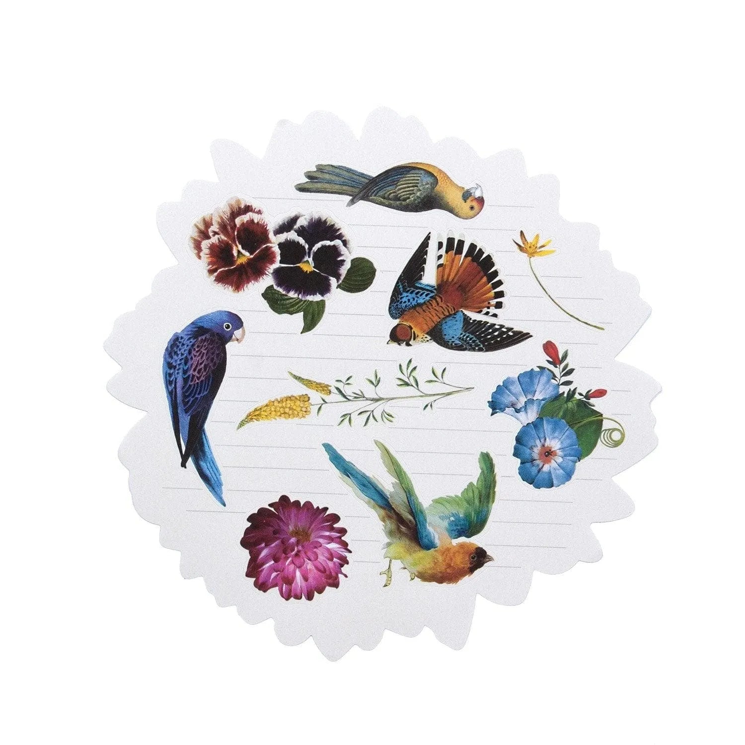 Christian Lacroix Birds Sinfonia Shaped Notecard Set