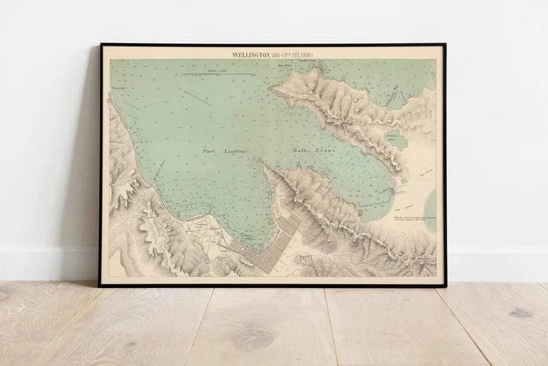 City Map of Wellington| Maps of New Zealand Poster Print