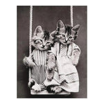 Classic Vintage Cat Memes DIY Greeting Card Folio