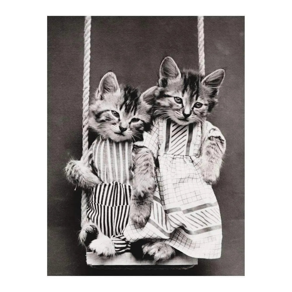 Classic Vintage Cat Memes DIY Greeting Card Folio Classic Vintage Cat Memes DIY Greeting Card Folio 