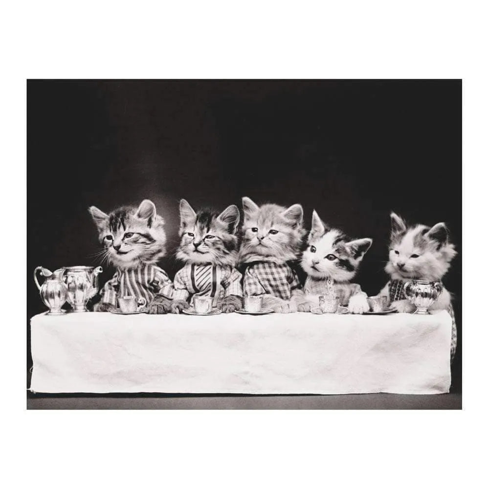 Classic Vintage Cat Memes DIY Greeting Card Folio