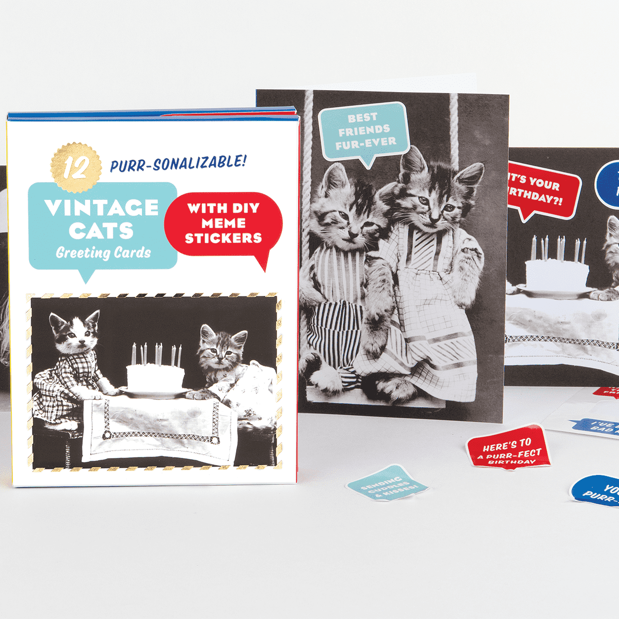 Classic Vintage Cat Memes DIY Greeting Card Folio 