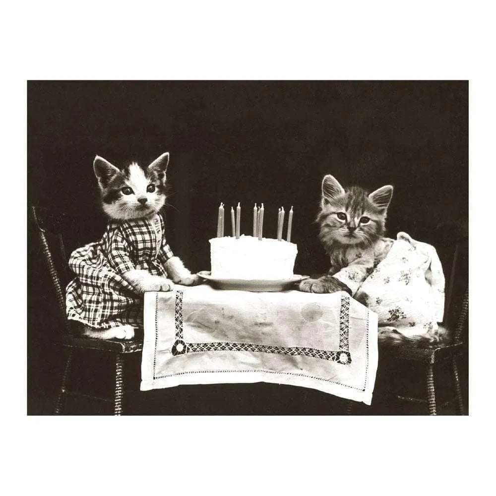 Classic Vintage Cat Memes DIY Greeting Card Folio