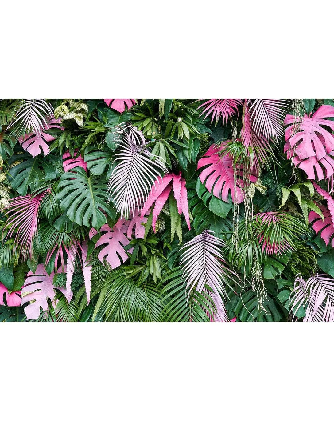 Colorful Tropical Palm Leaves Wall Mural