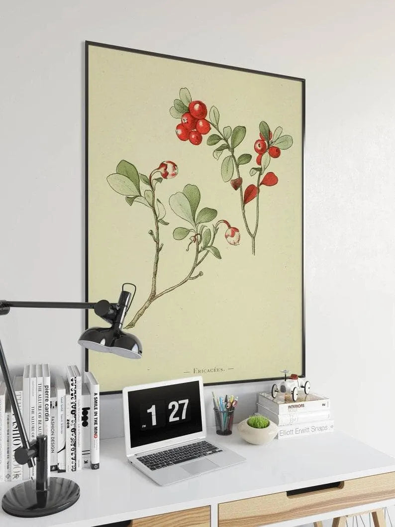 Cowberry Flower Wall Print| Botanical Wall Art