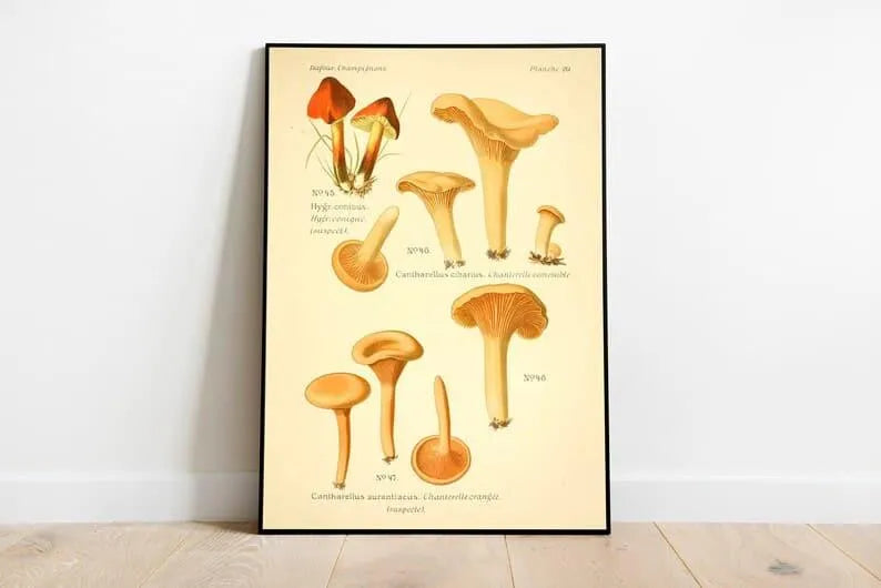 Mushroom Wall Print| Botanical Wall Art