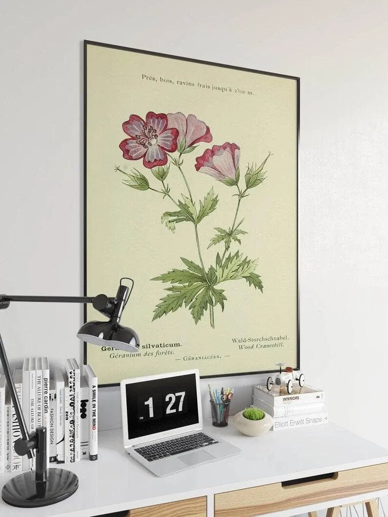 Cranesbill Flower Wall Print| Botanical Wall Art