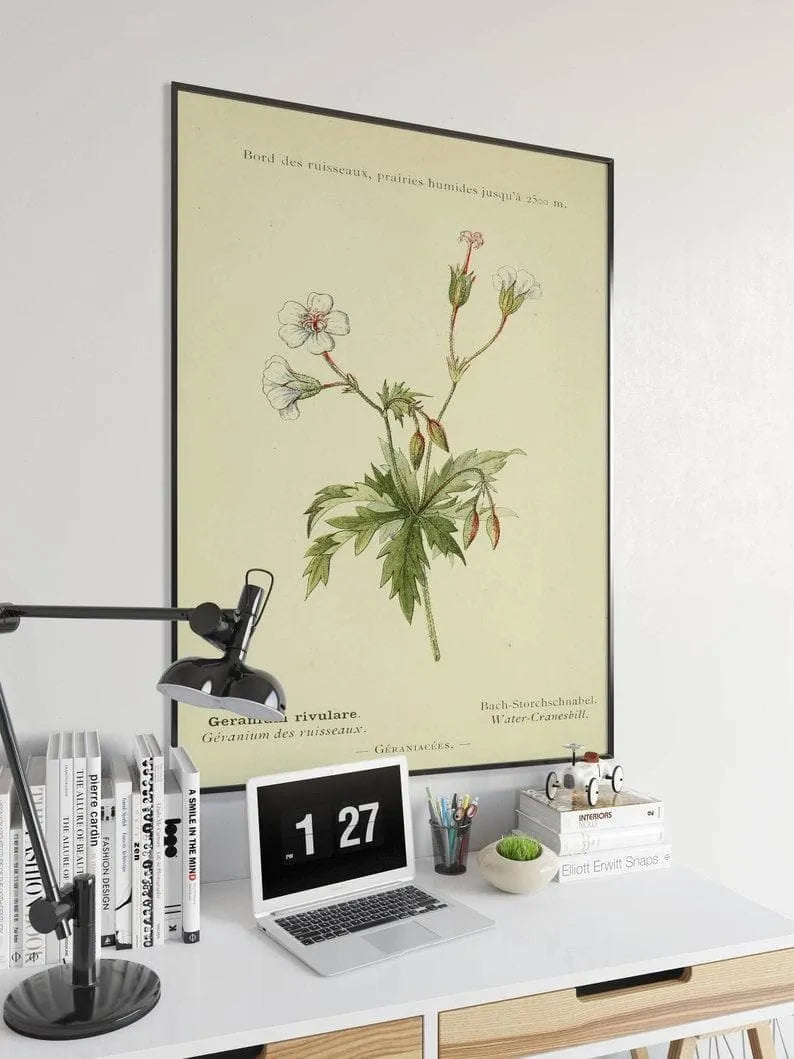 Cranesbill Flower Wall Print| Botanical Wall Art