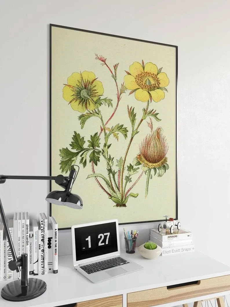 Creeping Avens Wall Print| Botanical Wall Art