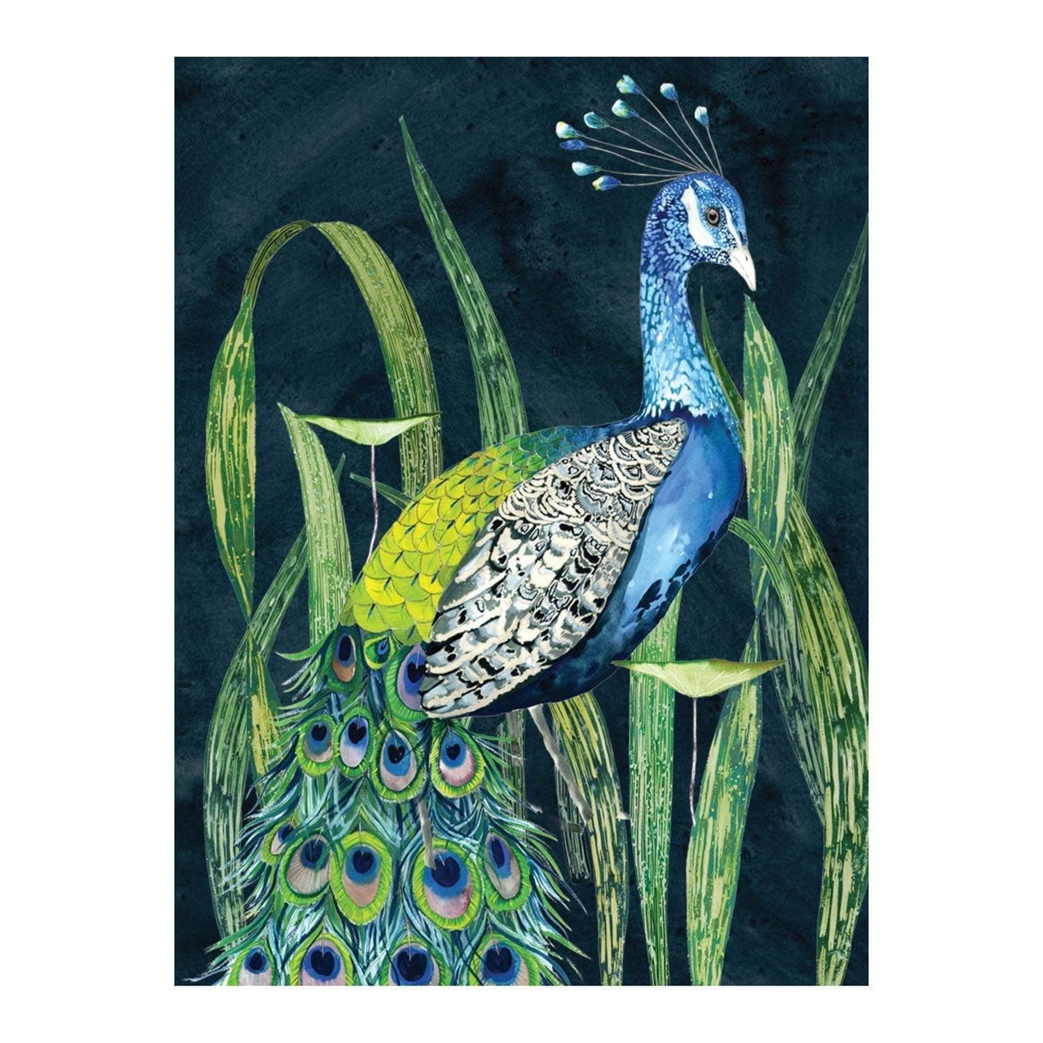 Designers Guild (Blues and Greens) Greeting Assortment Notecard Set Designers Guild (Blues and Greens) Greeting Assortment Notecard Set Designers Guild (Blues and Greens) Greeting Assortment Notecard Set 