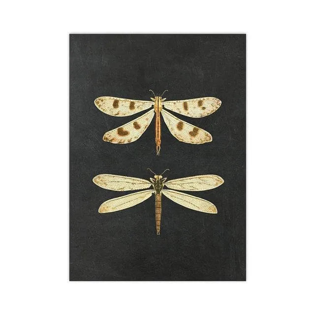 Dramatic Insect Collection Wall Art Poster Print Dragonflies