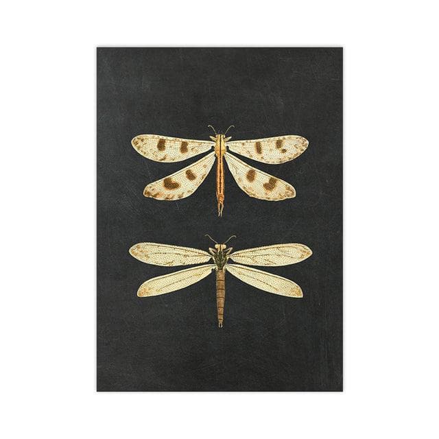 Dramatic Insect Collection Wall Art Poster Print 
