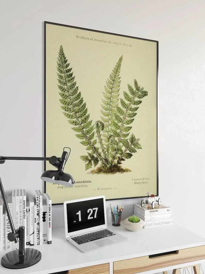 Fern Wall Print| Botanical Wall Art