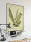 Fern Wall Print| Botanical Wall Art