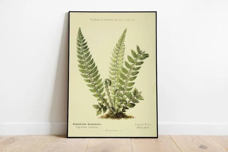 Fern Wall Print| Botanical Wall Art