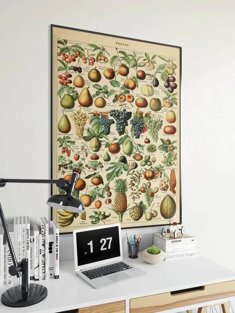 Fruits Chart| Fruits Diagram Fruits Chart| Fruits Diagram Fruits Chart| Fruits Diagram 