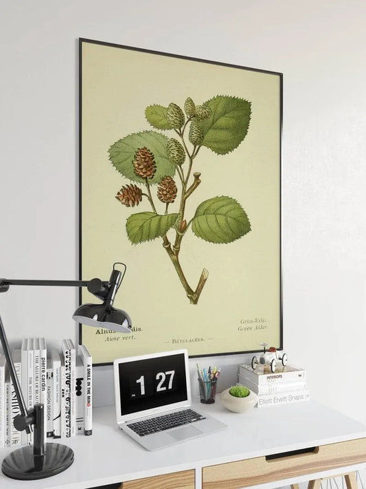 Green Alder Flower Wall Print| Botanical Wall Art