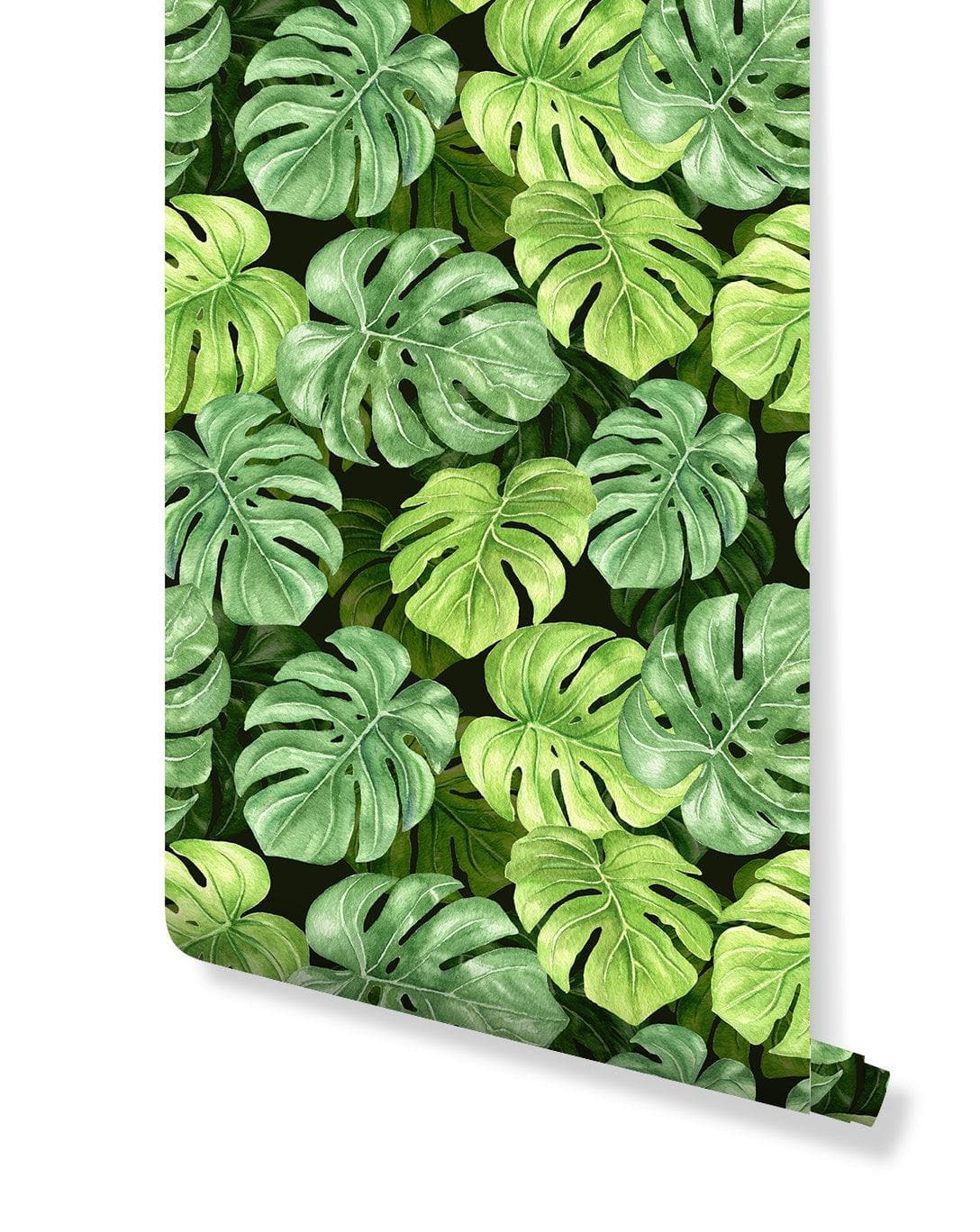 Green Tropical Monstera Leaf Wallpaper Green Tropical Monstera Leaf Wallpaper 
