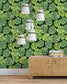 Green Tropical Monstera Leaf Wallpaper 