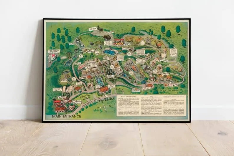 Pictorial Map of San Diego Zoo| San Diego Wall Art Print