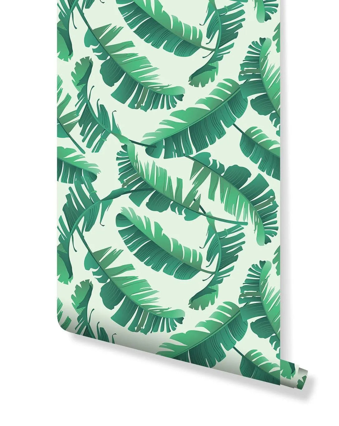 Illustrated Tropical Banana Palm Leaves Wallpaper