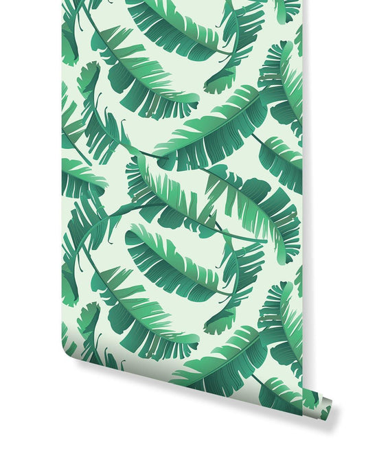 Illustrated Tropical Banana Palm Leaves Wallpaper Illustrated Tropical Banana Palm Leaves Wallpaper Illustrated Tropical Banana Palm Leaves Wallpaper 