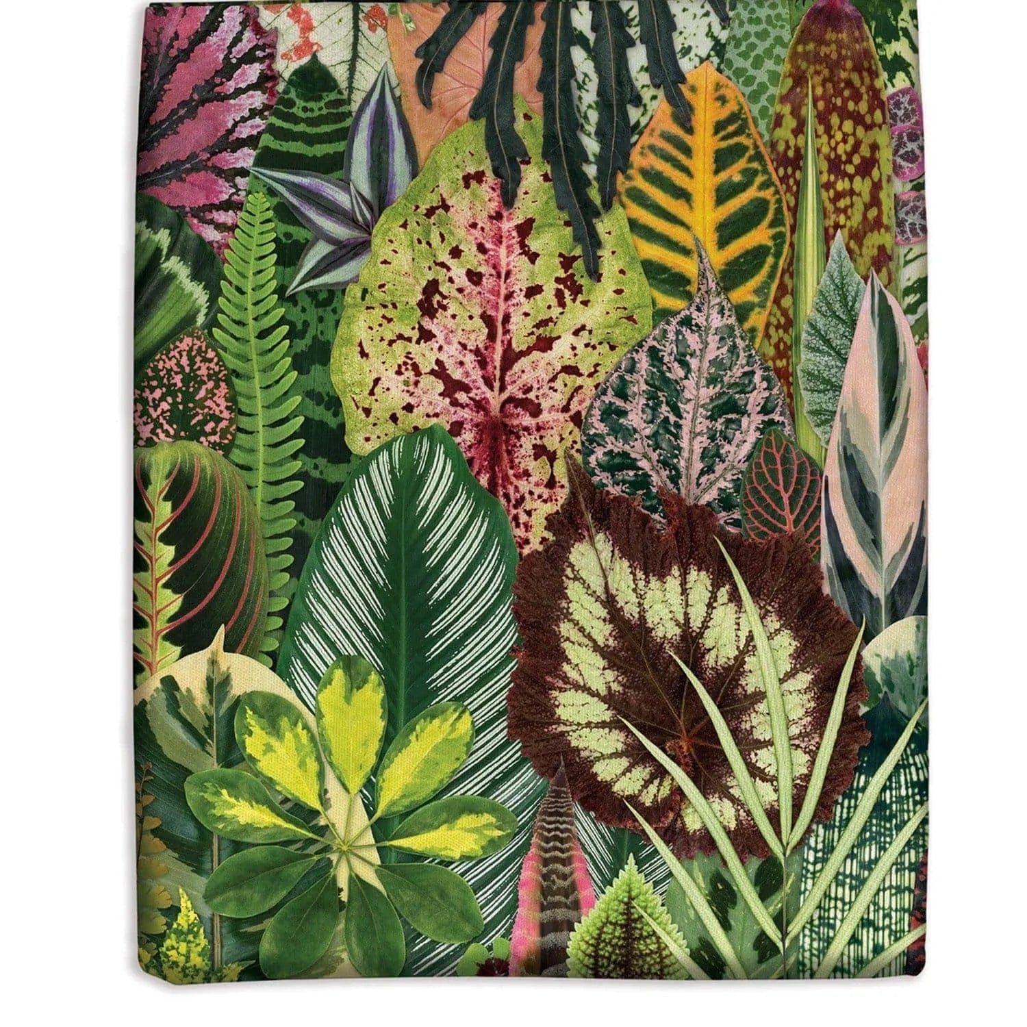 Troy Litten Houseplant Jungle Canvas Tote Bag