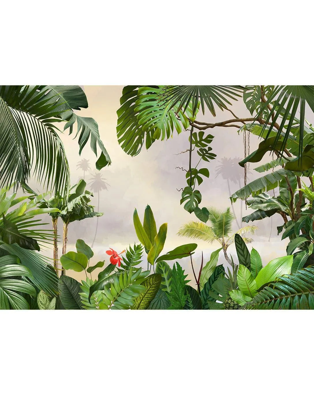 Jungle Tropical Wall Mural